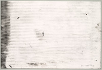 KT 2006 039
          <br/>
          Zonder titel
          <br/>
          <em>Damsté, Paul (1944)</em>